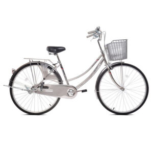 Xe Đạp Inox Nữ