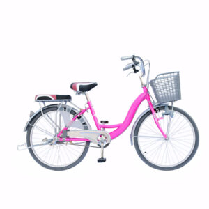 XE ĐẠP PHỔ THÔNG NỮ HỒNG