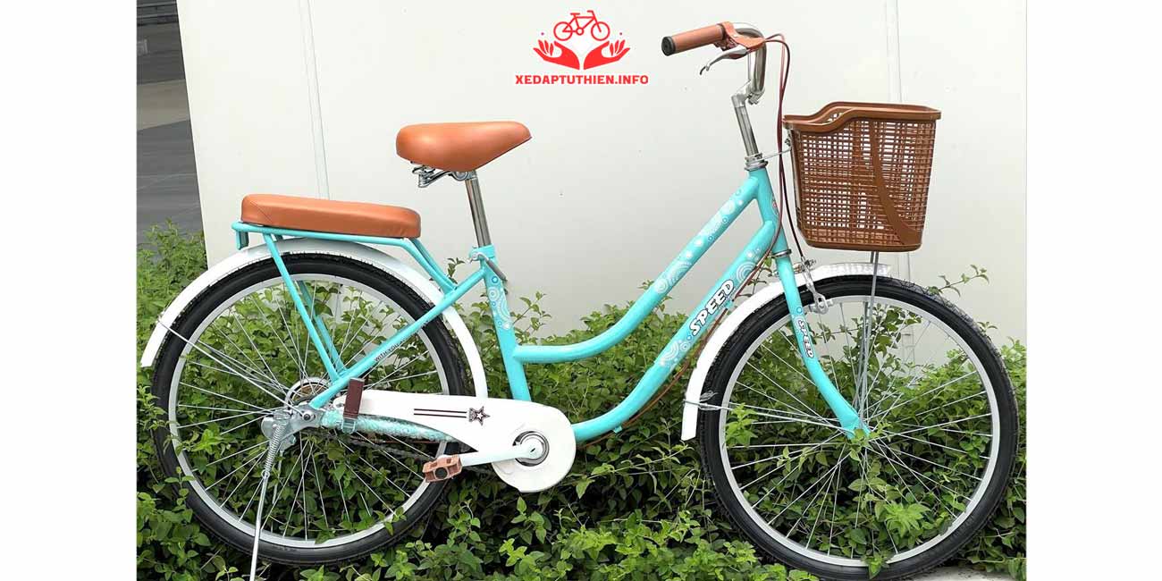 xe đạp từ thiện thời trang mini speed khung inox