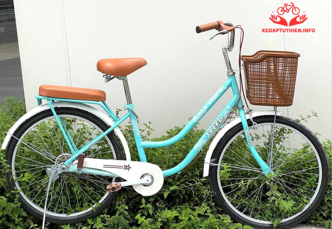 Xe đạp từ thiện thời trang mini speed inox màu xanh
